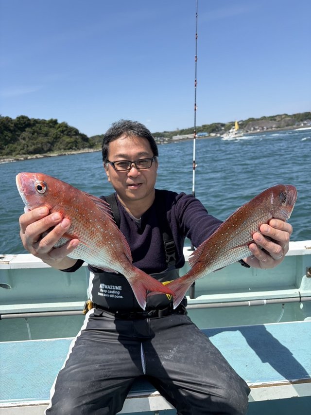 マダイ