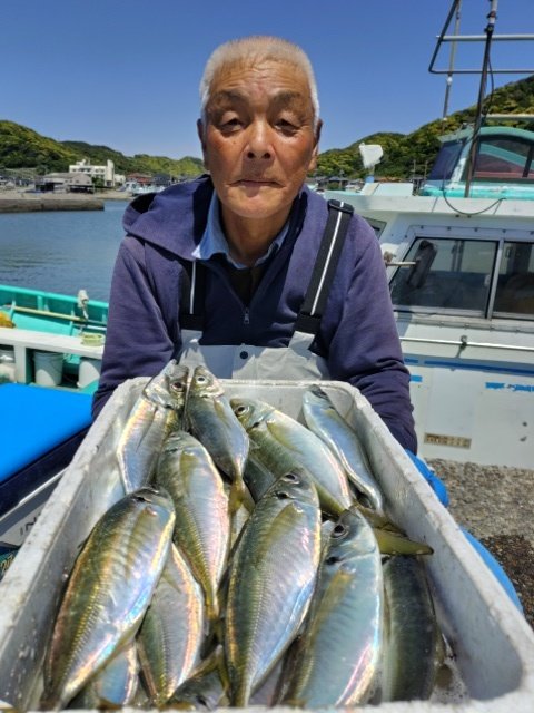 アジ(マアジ)
