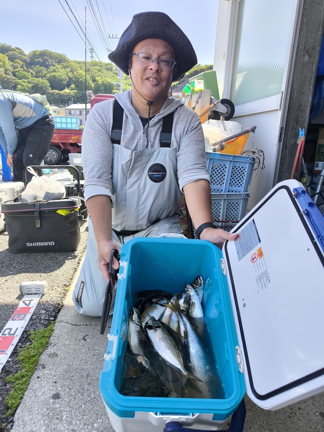 アジ(マアジ)