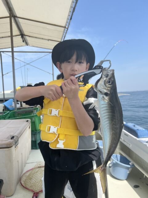 アジ(マアジ)
