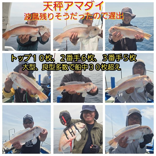 シロアマダイ