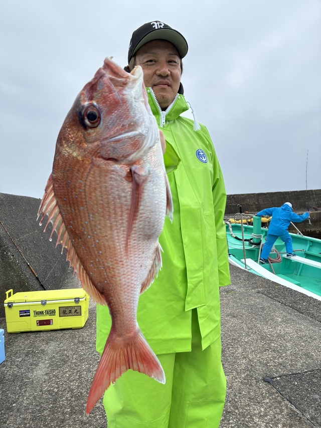 マダイ