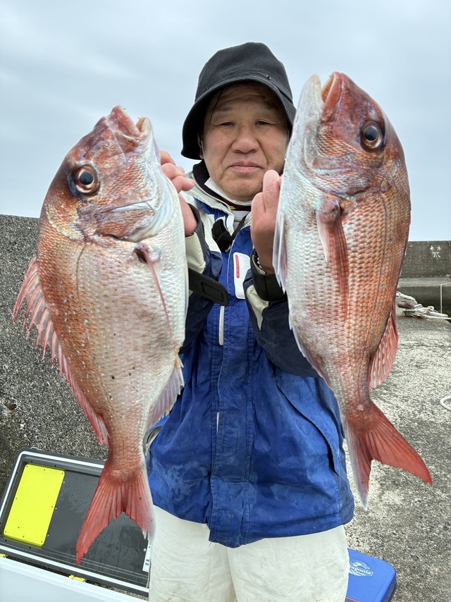 マダイ