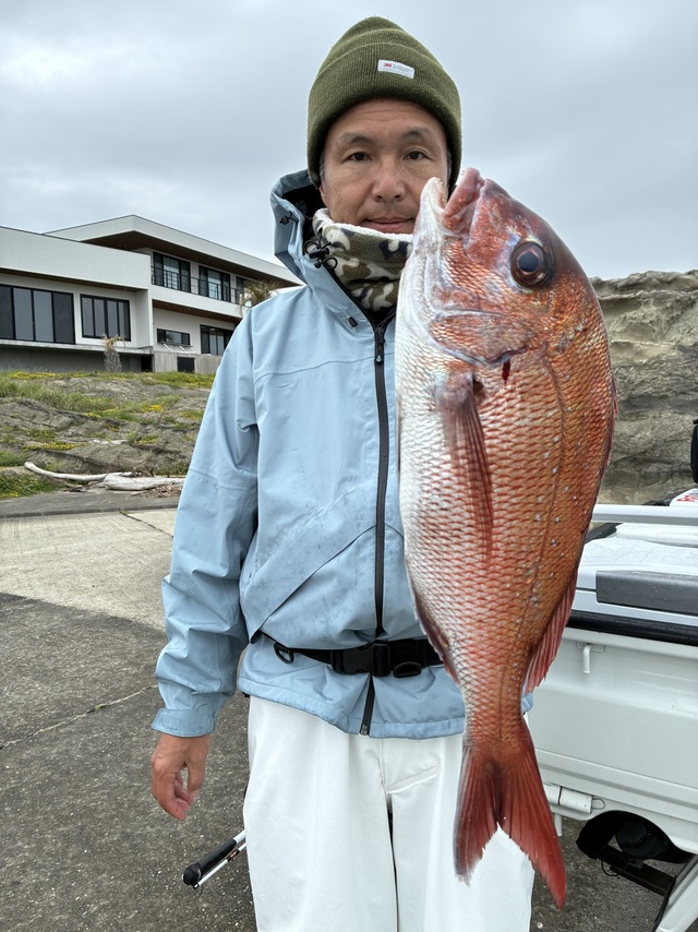 マダイ