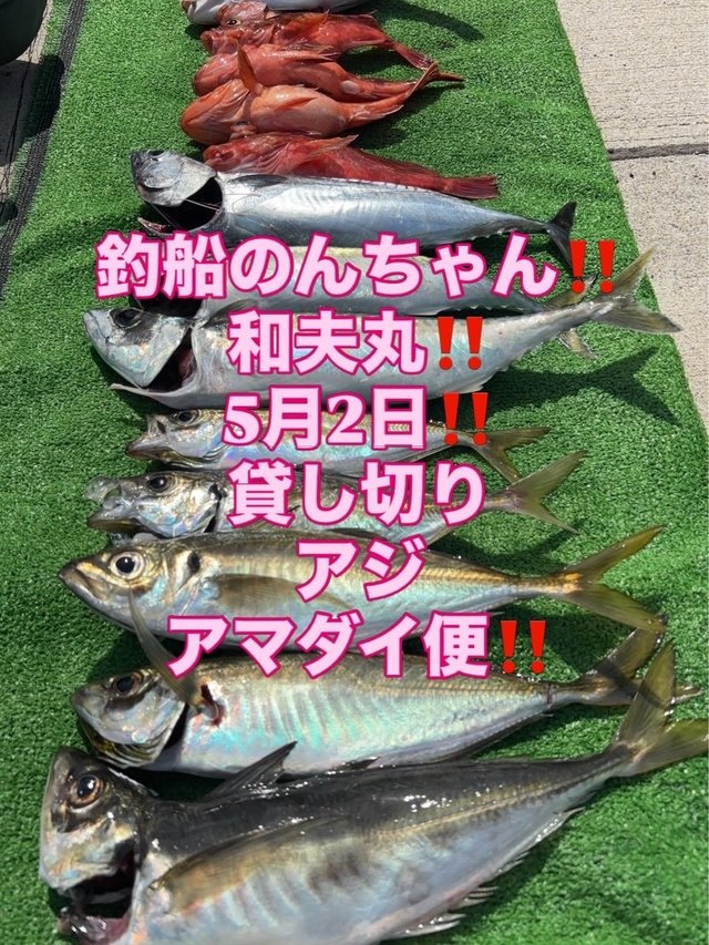 アジ(マアジ)