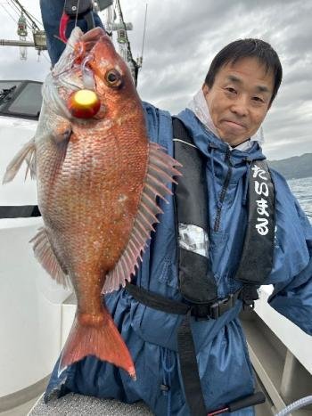 マダイ