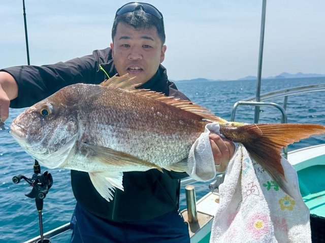 マダイ