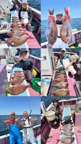マダイ・クロダイ・メジナ・イサキ