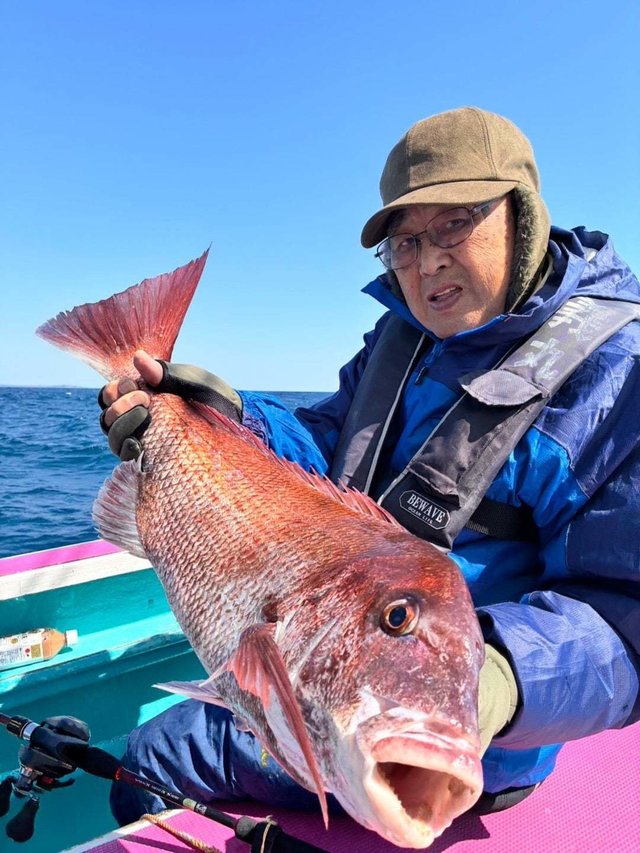 マダイ