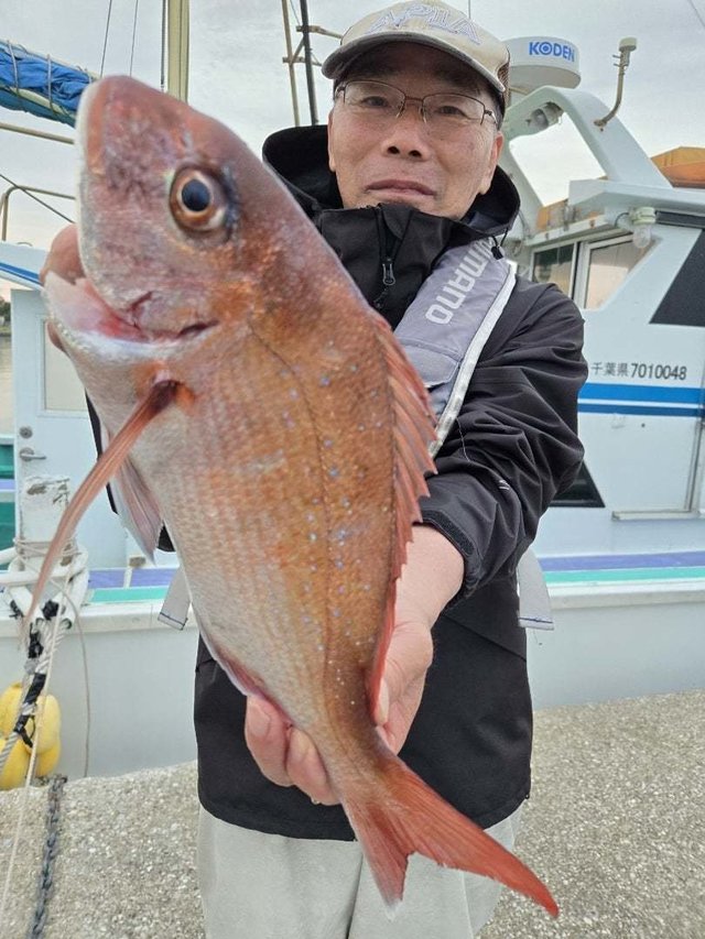 マダイ