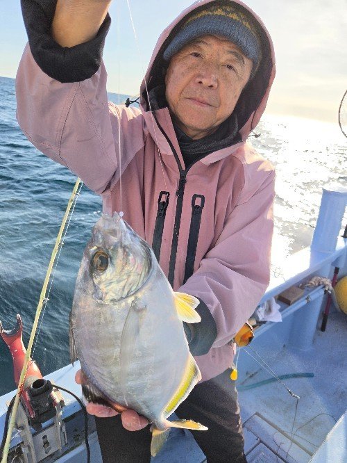 カイワリ