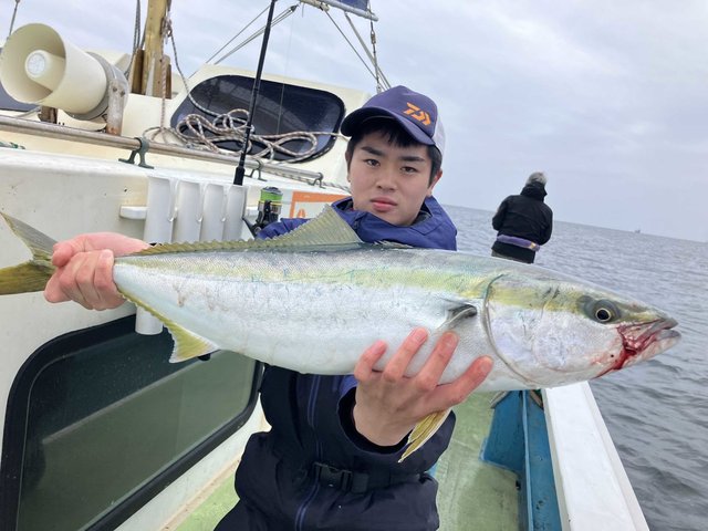 ワラサ(ブリ)