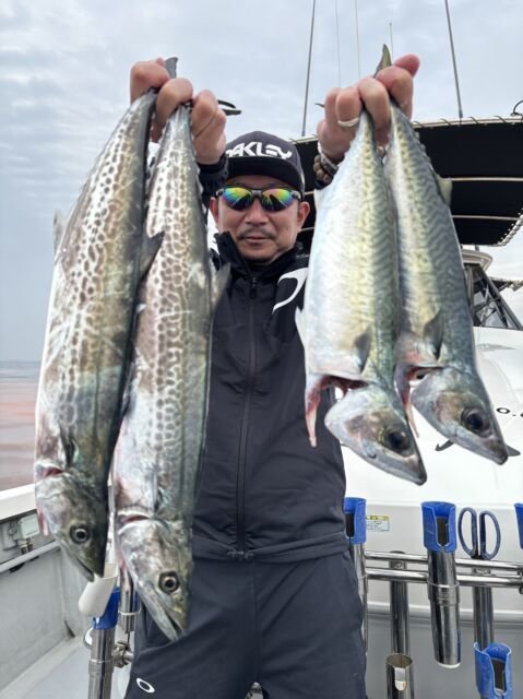 サゴシ(サワラ)・サバ(ゴマサバ)