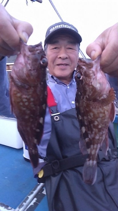 カサゴ