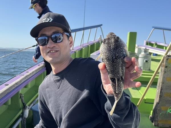 ショウサイフグ