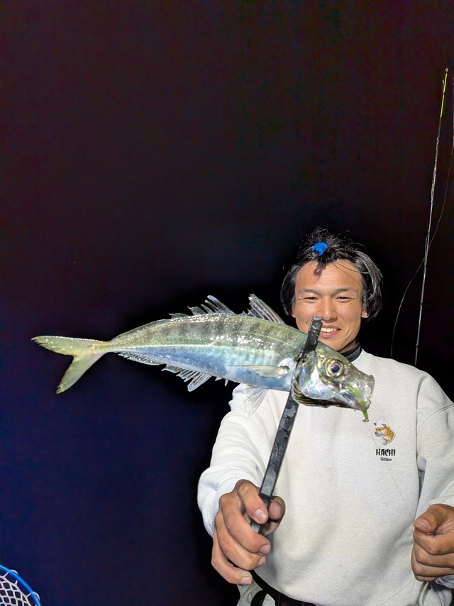 アジ(マアジ)
