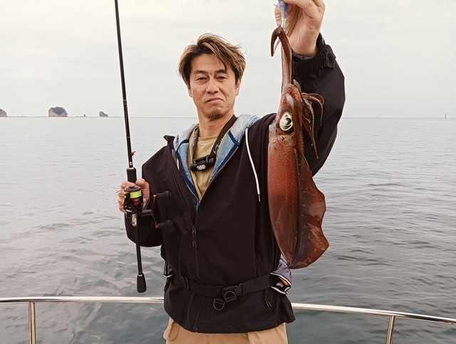 アオリイカ
