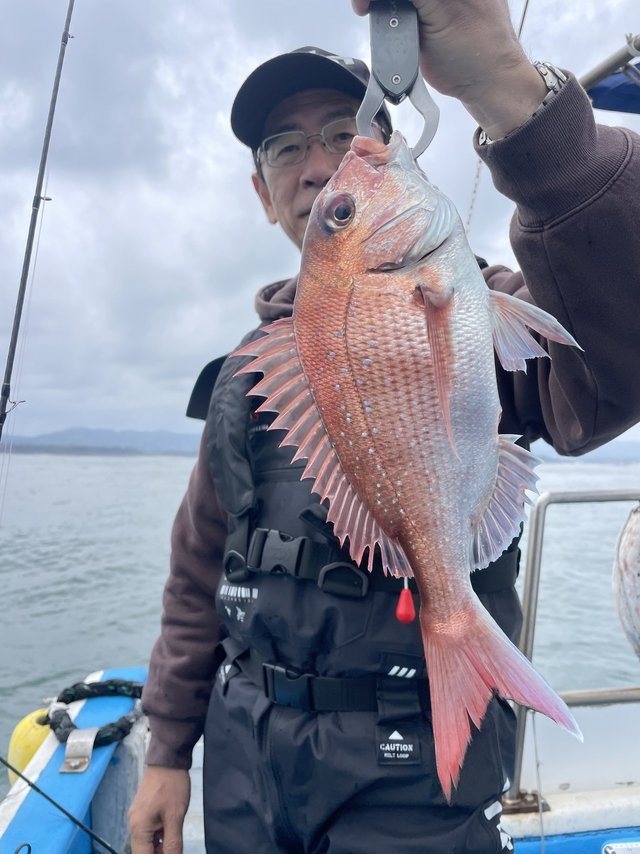 マダイ