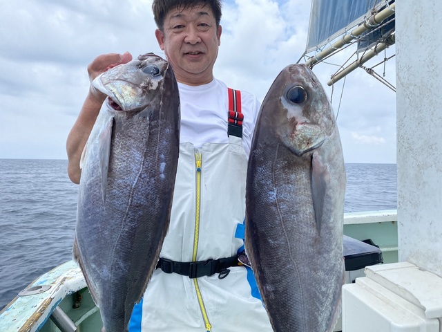 メダイ