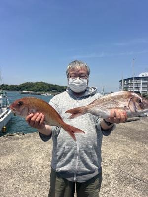 マダイ