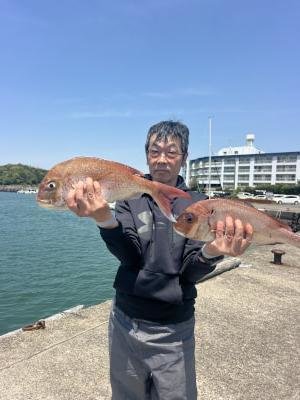 マダイ