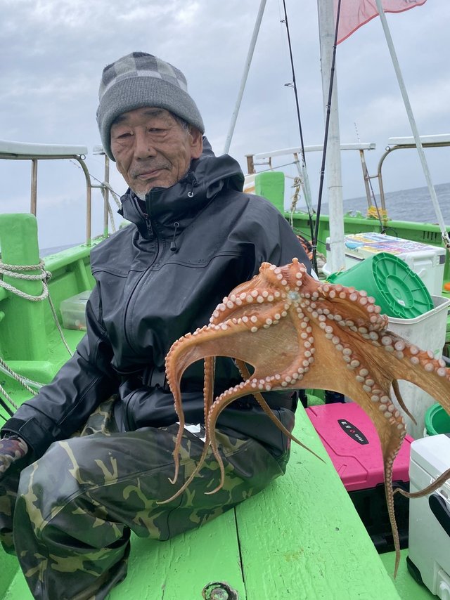 マダコ