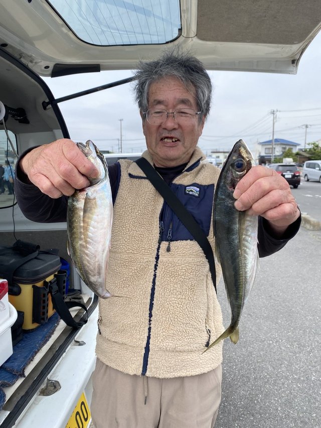 アジ(マアジ)