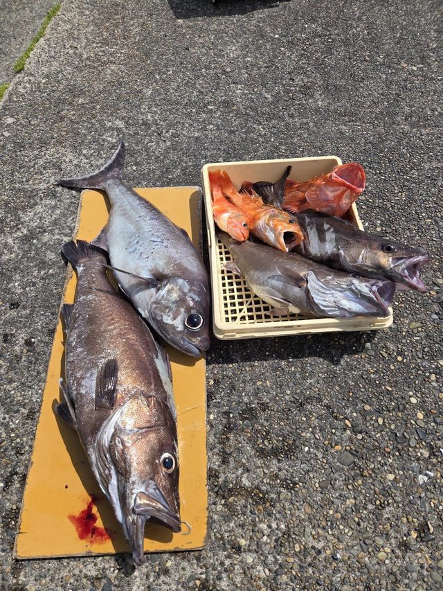 アラ