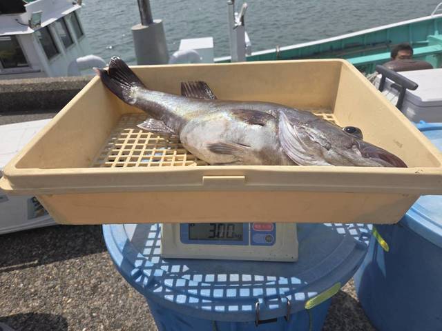 アラ