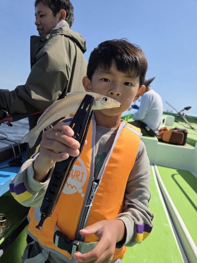 シロギス