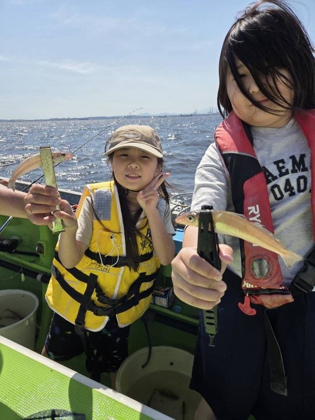 シロギス