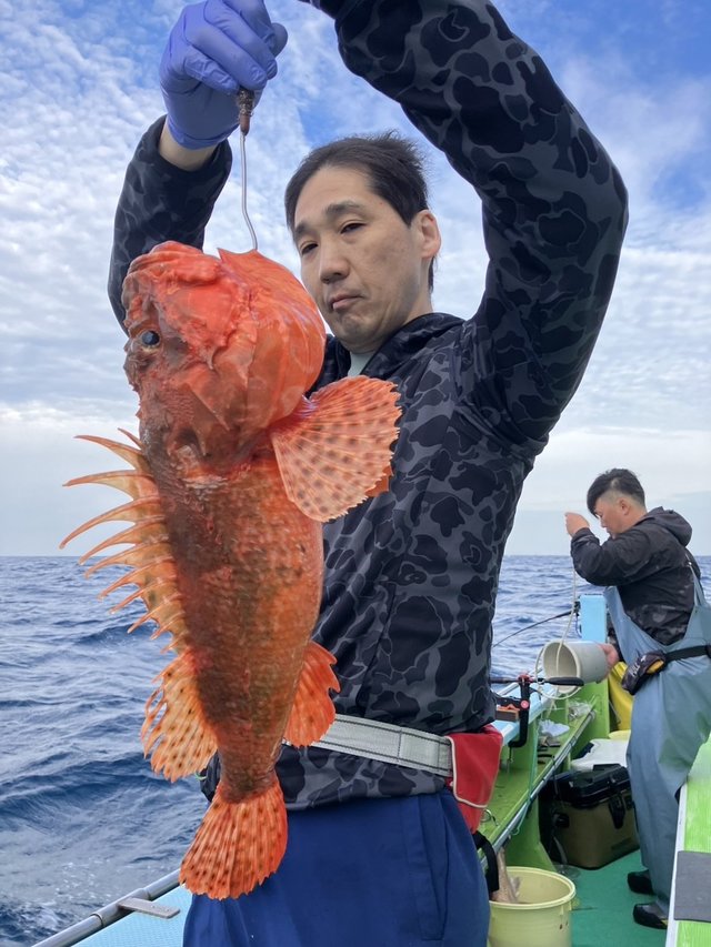 オニカサゴ