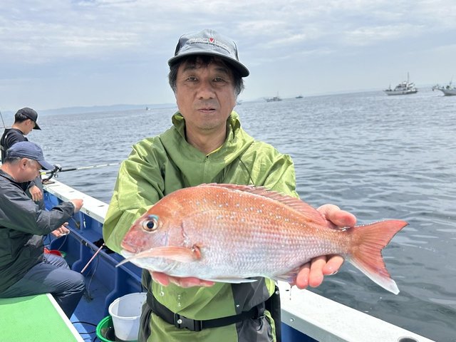 マダイ