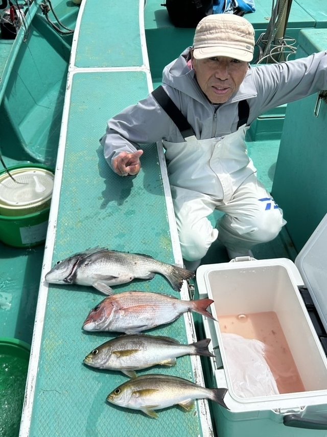 マダイ