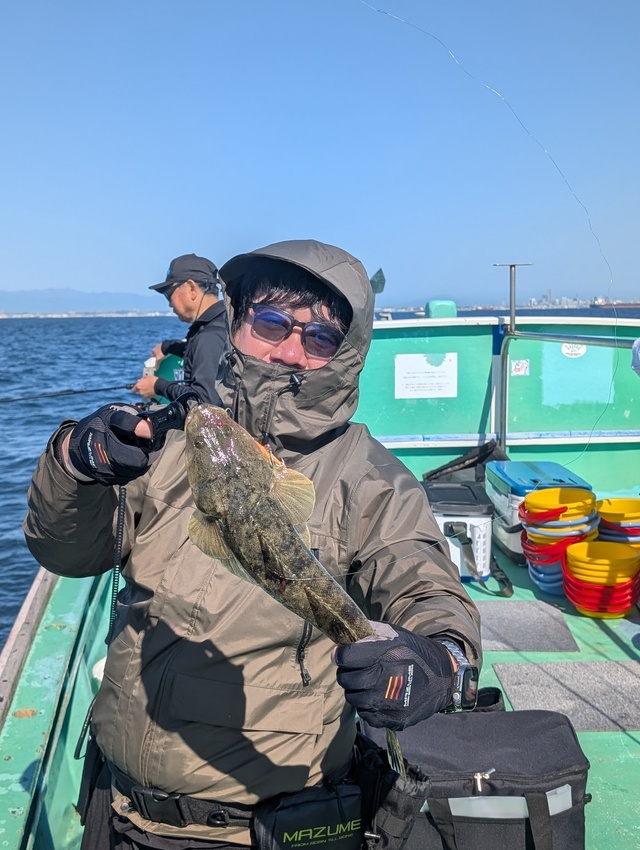 マゴチ