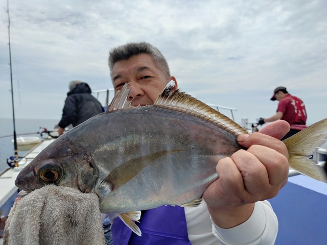 カイワリ