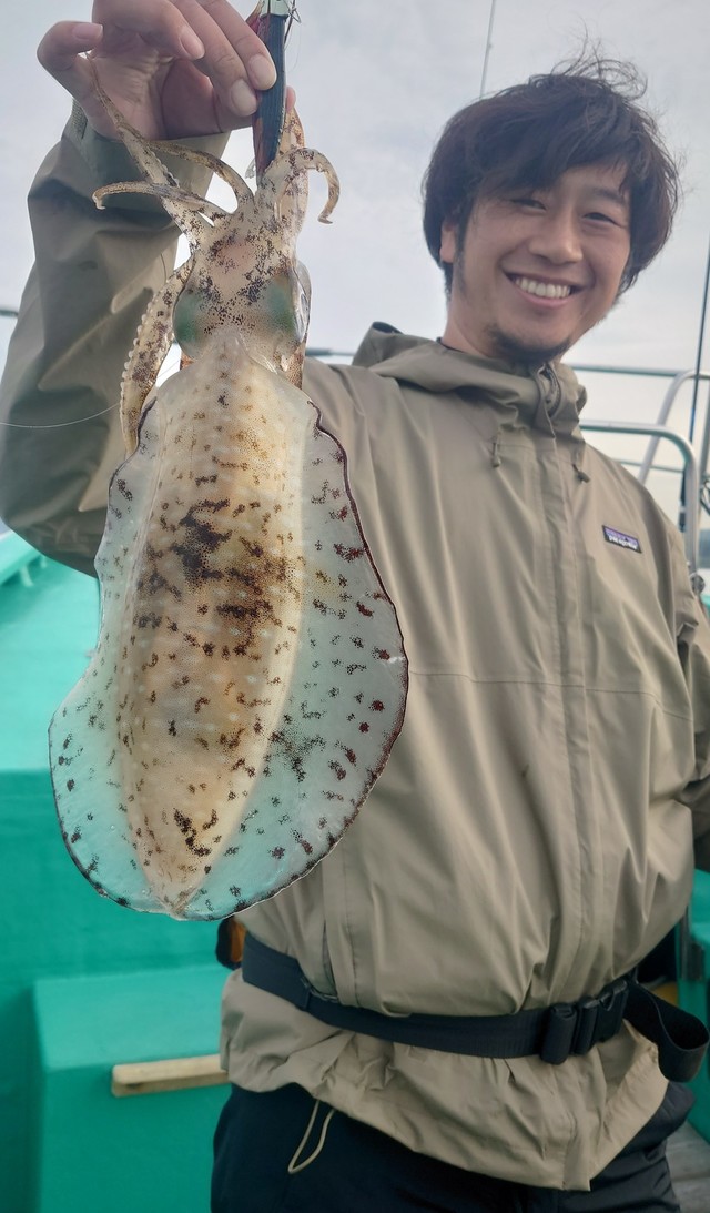 アオリイカ