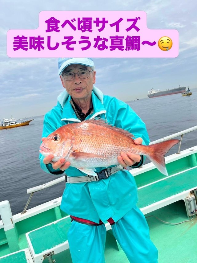 マダイ