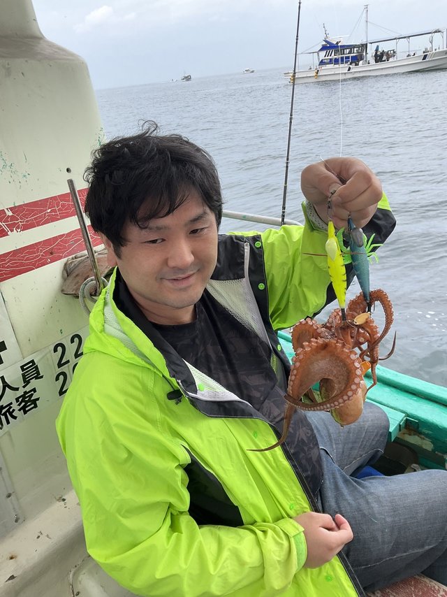マダコ