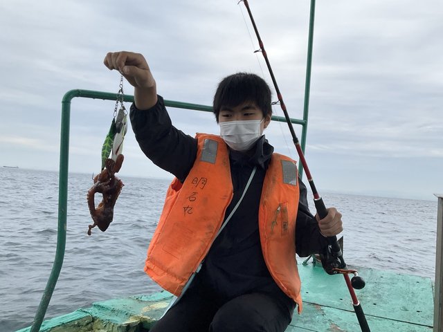 マダコ