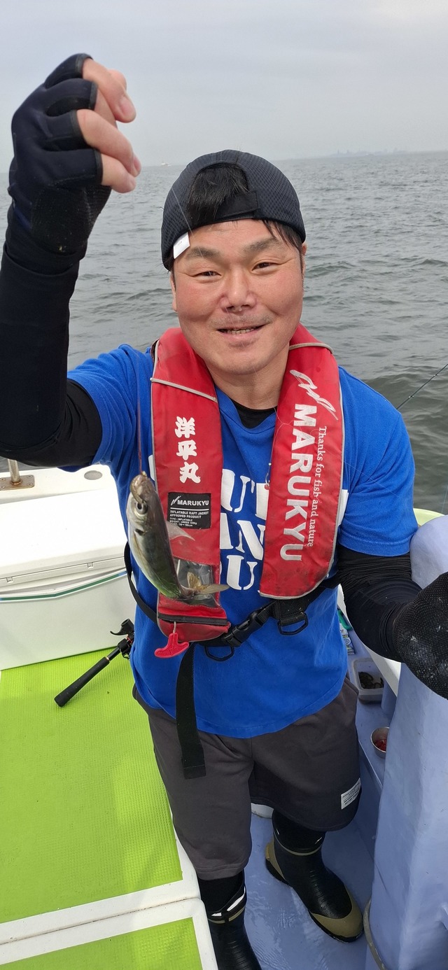 アジ(マアジ)