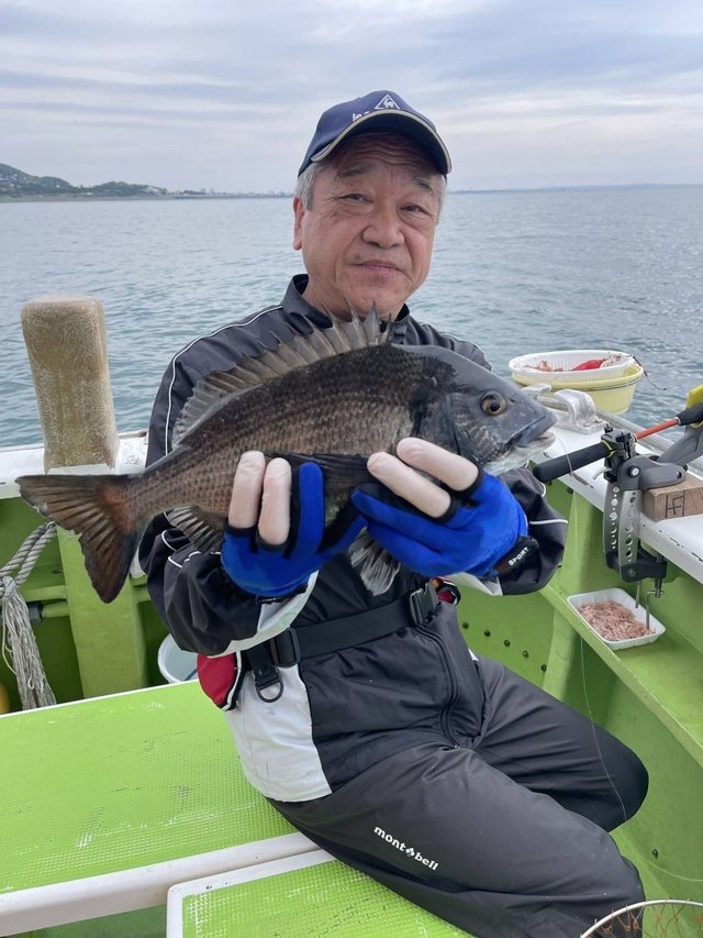 クロダイ