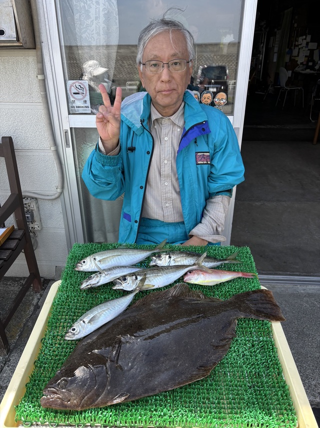 アジ(マアジ)・ヒラメ