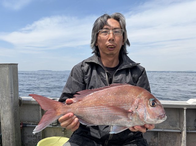 マダイ