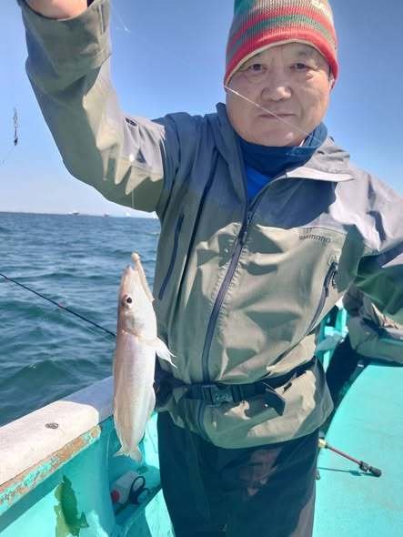 シロギス