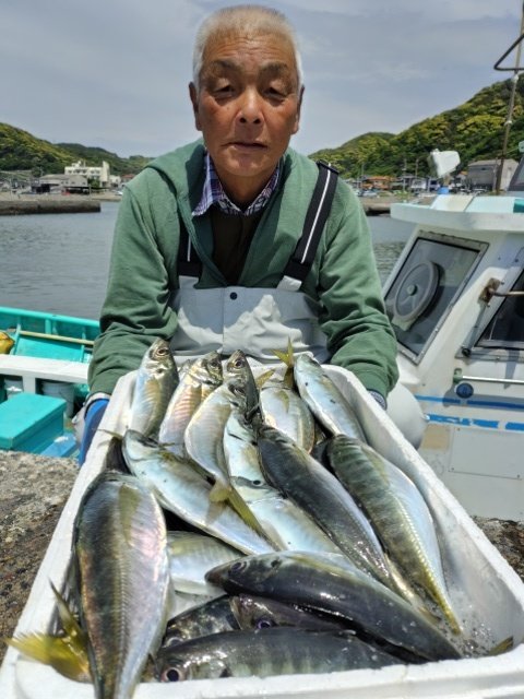 アジ(マアジ)
