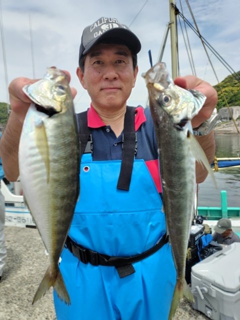 アジ(マアジ)