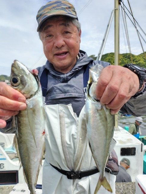 アジ(マアジ)