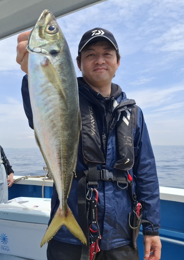 マアジ