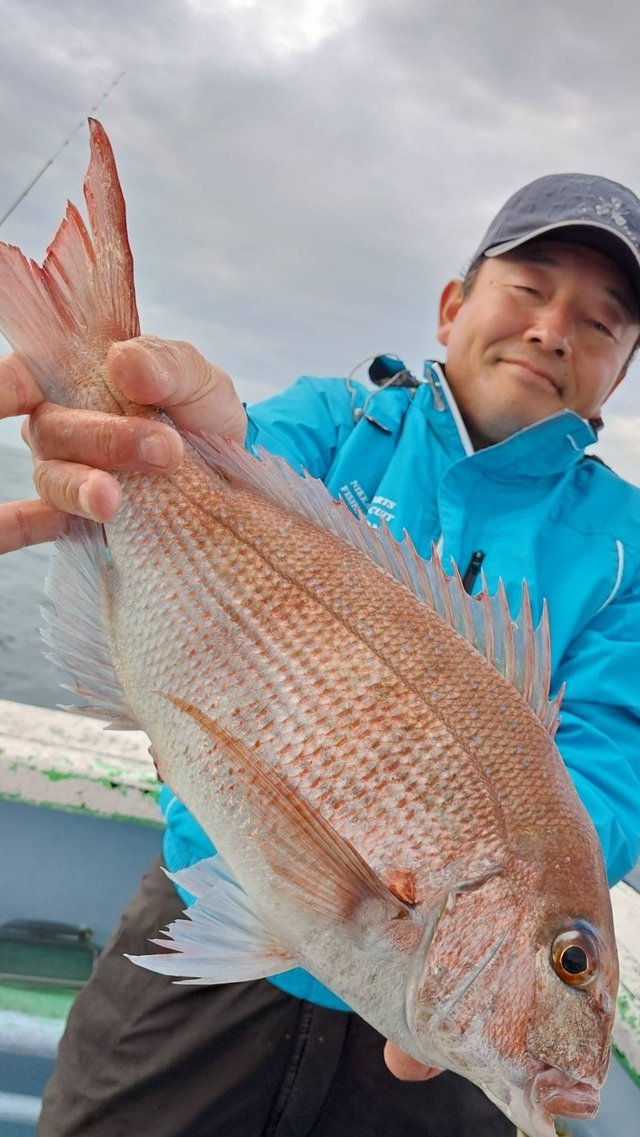 マダイ